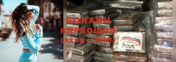 индика Белокуриха