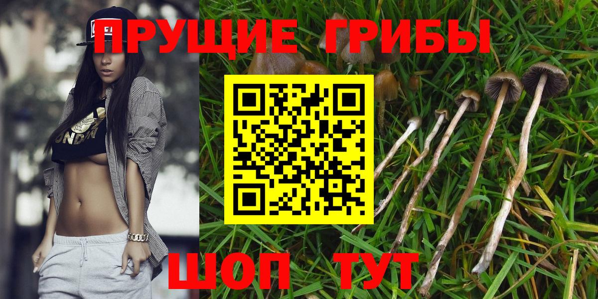 Галлюциногенные грибы MAGIC MUSHROOMS Гусев