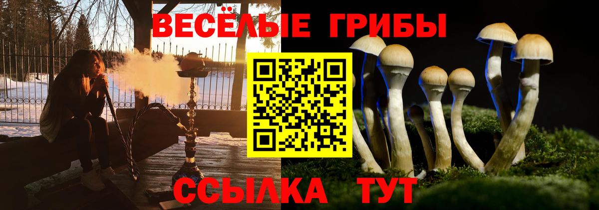 Галлюциногенные грибы мухоморы  Вход с VPN  магазин продажи   Гусев 